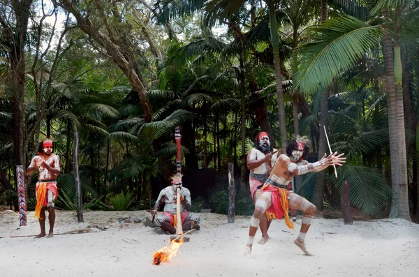 Group of Yugambeh Aboriginal warriors dance