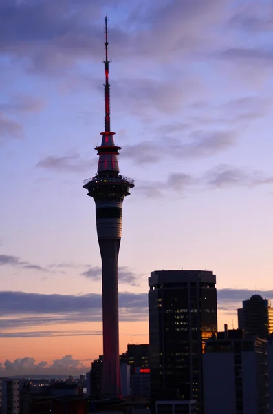 Aerial view of Auckland skyline at sunriser - New Zealand