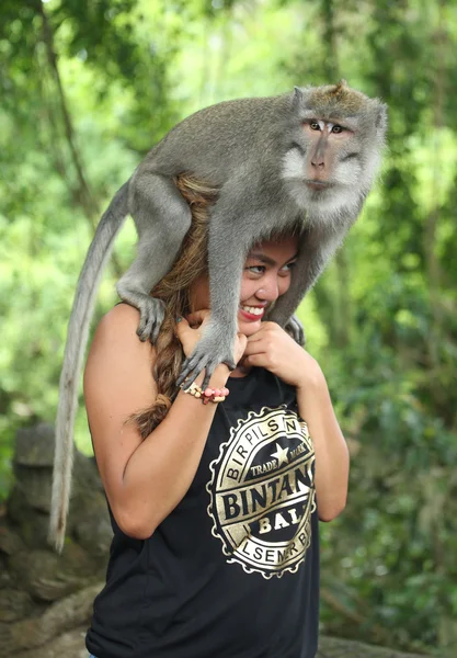 Monkey seating on tourist head in the Sacred Forest Sanctuary, Bali, Indonesia