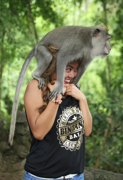 Monkey seating on tourist head in the Sacred Forest Sanctuary, Bali, Indonesia