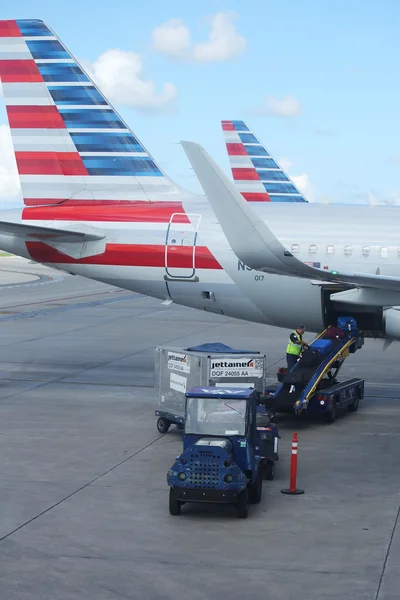 American Airlines baggage handlers uploading luggage at Miami International Airport