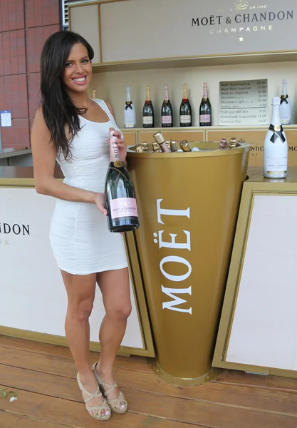 Moet and Chandon champagne presented at the National Tennis Center during US Open 2016