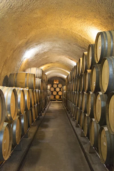 Oak barrels in a cellar