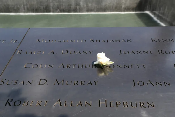 Flower left at the National September 11  Memorial at Ground Zero in Lower Manhattan
