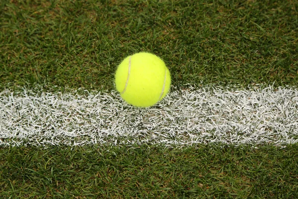 Tennis ball on grass tennis court