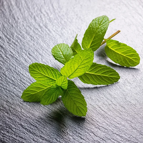 Beautiful fresh green mint on slate background, close up