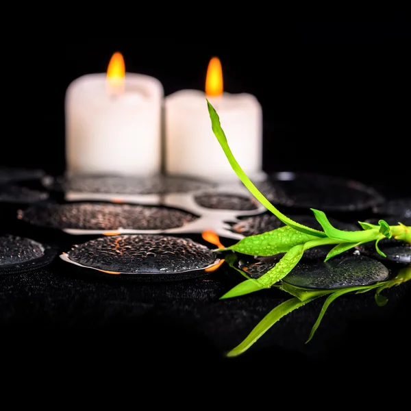 Beautiful spa still life of green twig bamboo and candles on zen