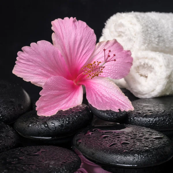 Beautiful spa still life of pink hibiscus, drops and towels on z