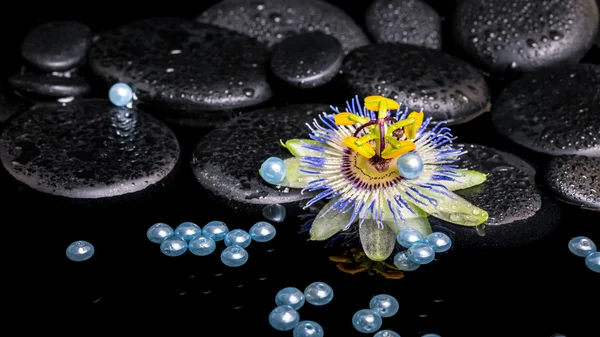 Beautiful spa setting of passiflora flower, zen stones with drop