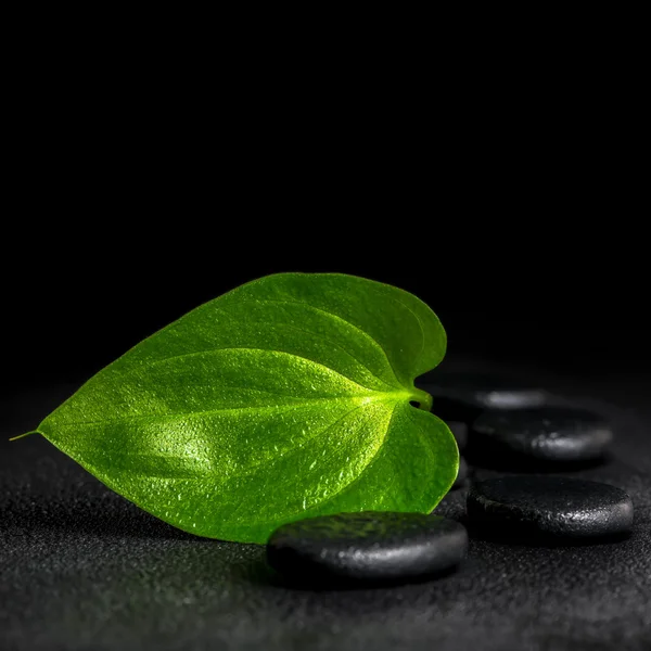 Spa still life of zen stones and green leaf on black background