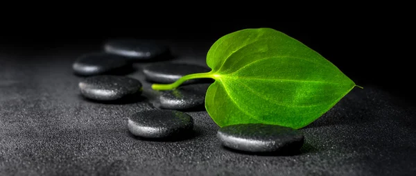 Spa concept of zen stones and green leaf on black background wit
