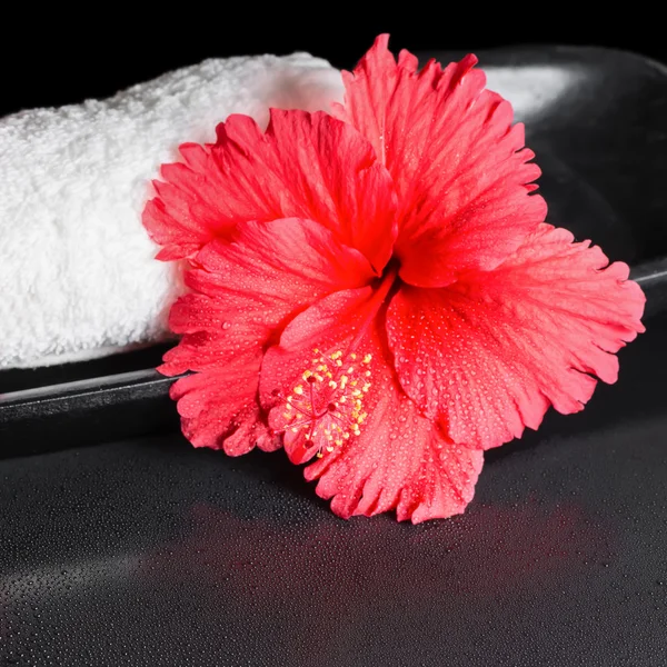 Beautiful spa concept of red hibiscus flower with dew and white