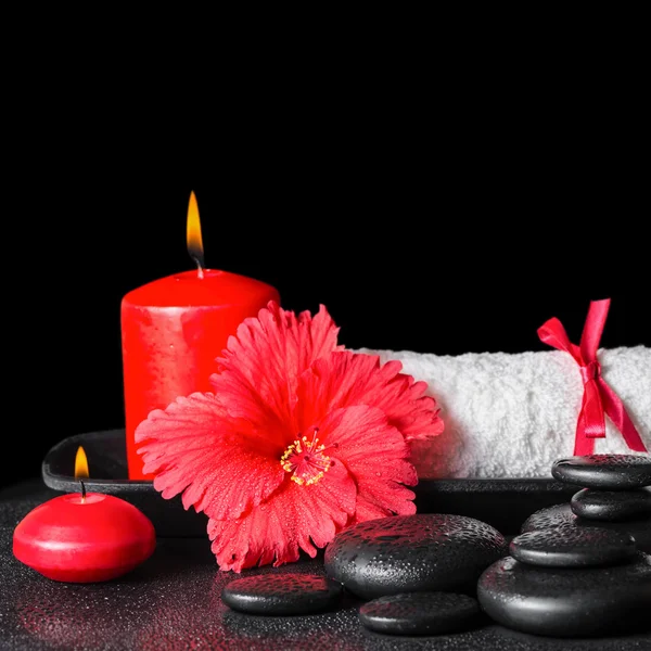 Beautiful spa concept of red hibiscus flower with dew, candles a