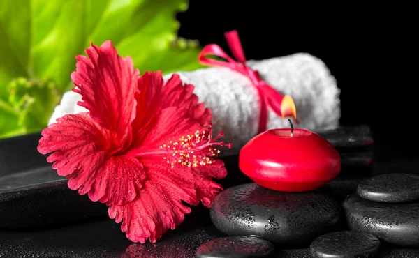 Beautiful spa composition of red hibiscus flower with dew, candl