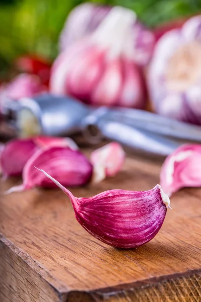 Garlic. Fresh garlic. Red garlic. Garlic press. Violet garlic.Garlic background. garlic bulbs