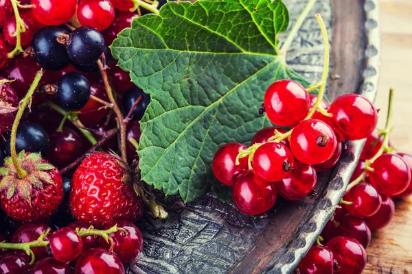 Red currant sponge cake. Plate with Assorted summer berries, raspberries, strawberries, cherries, currants, gooseberries.