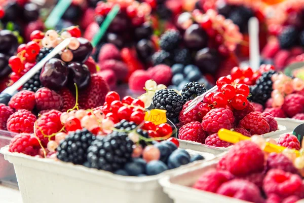 Blueberries, raspberries, strawberries, cherries Forest fruits. Gardening ,agriculture,harvest and forest concept.