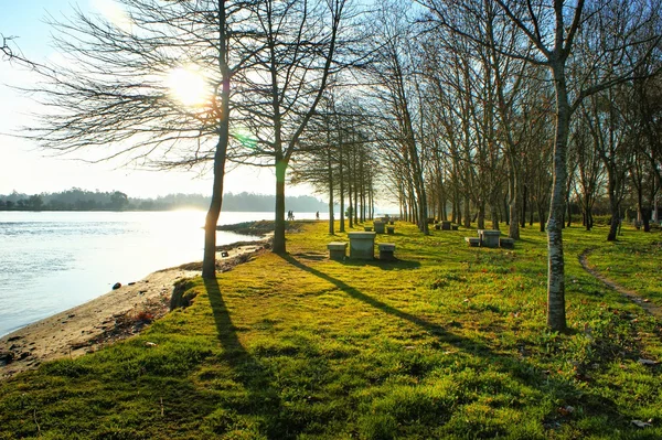 Scenary near river in rural area