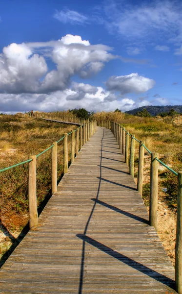 Paths on the beach in Portugal