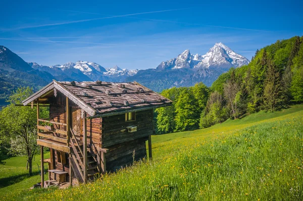 Idyllic springtime landscape in the Alps with traditional mountain cottage