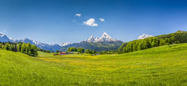 Idyllic summer landscape in the Alps