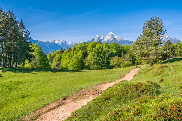 Idyllic landscape in the Alps with hiking path and mountains
