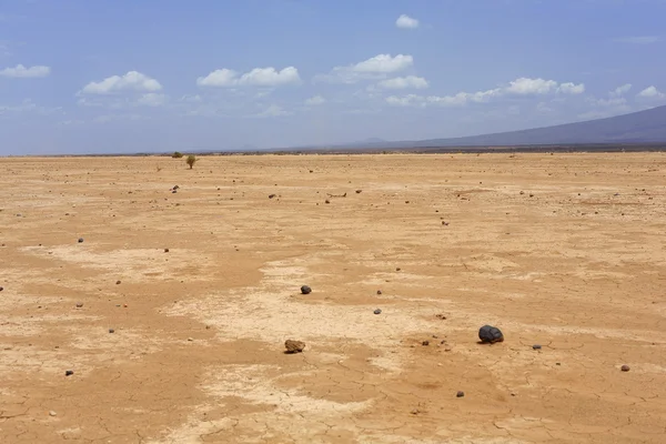 Dry landscape in the Danakil desert-Ethiopia. 0188