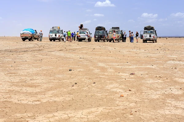 Caravan of tourist cars lost in the desert. Danakil-Ethiopia. 0186