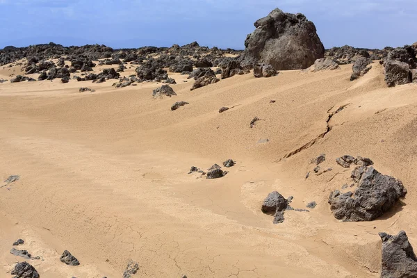 Almost erased path in the desert. Danakil-Ethiopia. 0182
