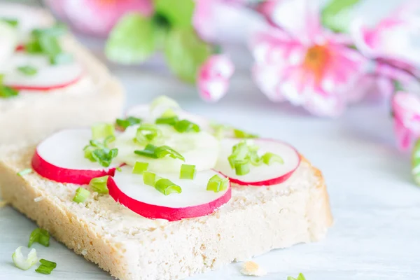 Picnic spring food sandwiches with raw radish and chives