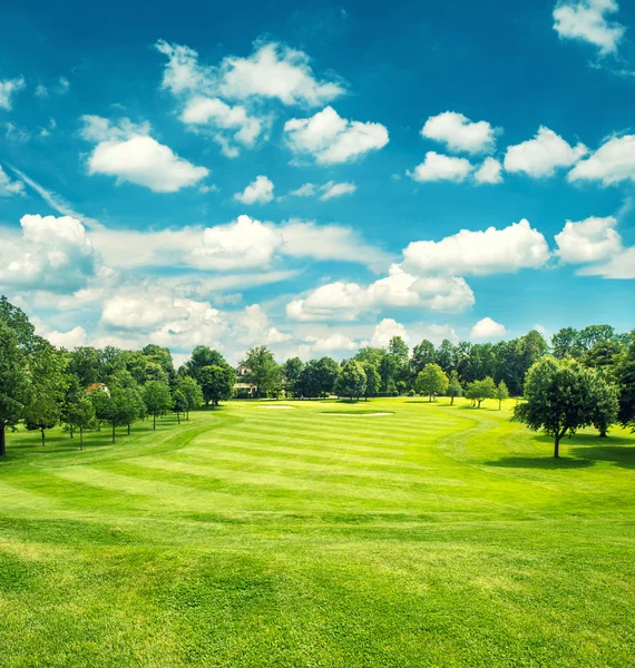 Golf field and blue cloudy sky. Beautiful landscape with green g