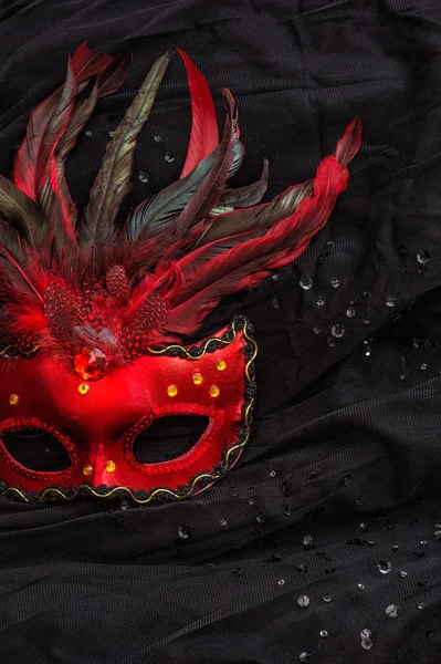 Red venetian carnival mask with feather