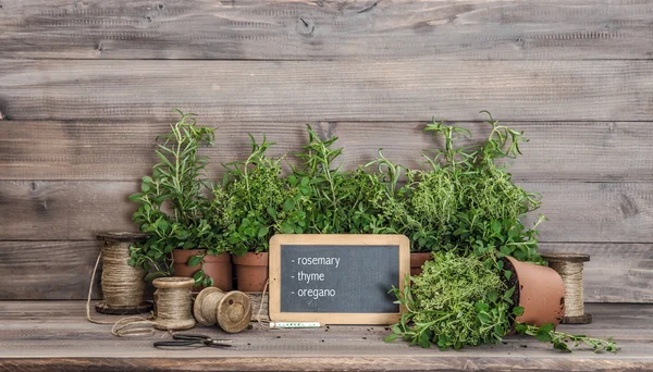 Kitchen herbs with chalkboard. Food  ingredients rosemary, thyme