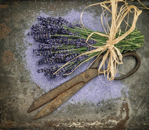 Lavender flowers over rustic metal background. Shabby chic