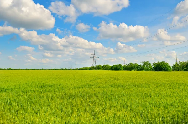 Green field and blue sky with light clouds