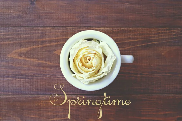 A cup of coffee and a white rose, spring