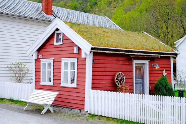 Scandinavian house with green roof