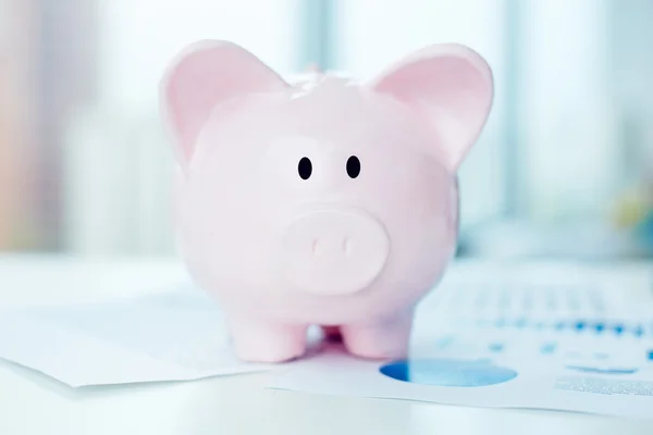 Piggy bank on business documents