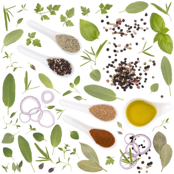Fresh herbs and spices isolate on white background
