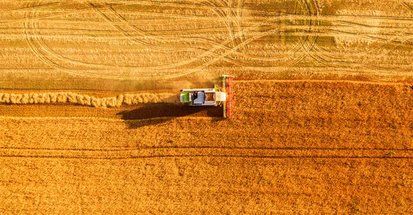 Harvester working in field and mows wheat. Ukraine. Aerial view.