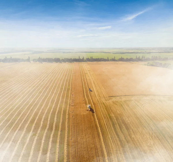 Harvester working in field and mows wheat. Ukraine. Aerial view.