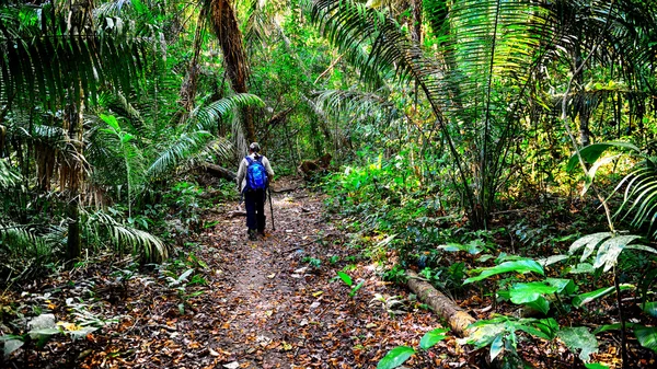 Traveler is walking on a footpath in a jungle
