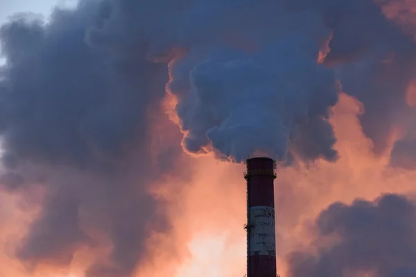 Factory chimney with smokes at sunset