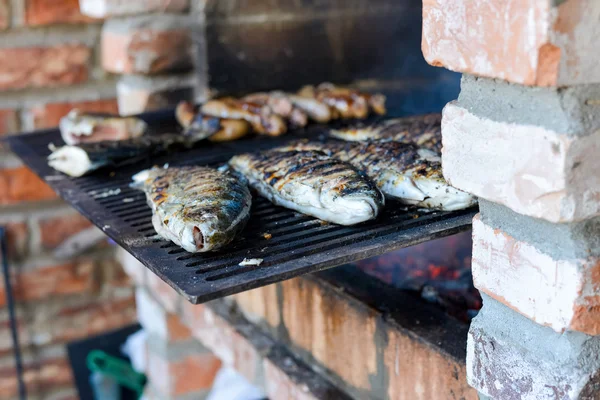 Fish on the grill in natural light