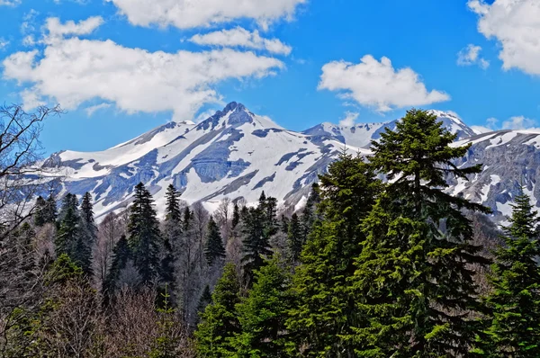 Mountain landscape