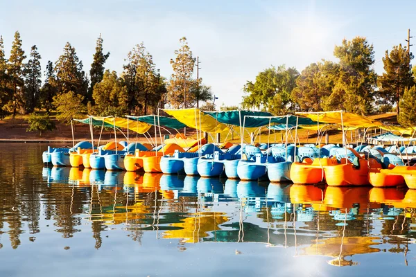Pedal Boats for Rent in Lake at Park
