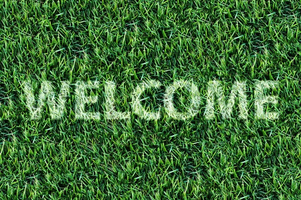 Welcome word on fresh green grass background.