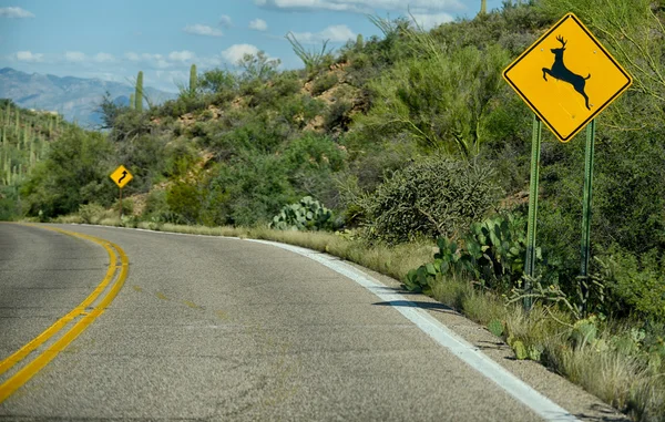 Deer crossing warning sign on street in arizona