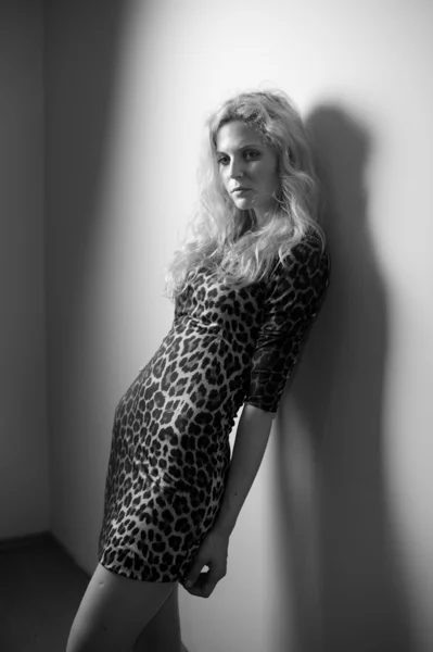 Attractive sexy blonde in animal print tight fit short dress posing provocatively indoor. Portrait of sensual woman in classic boudoir scene against a wall. Beautiful fair hair female, black and white