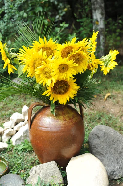 Magnificent bouquet of vivid sunflowers in antique clay pot outdoors near a rock on green grass. Clay flowerpot with bright yellow fresh sunflowers in garden. Garden arrangement with rocks and flowers